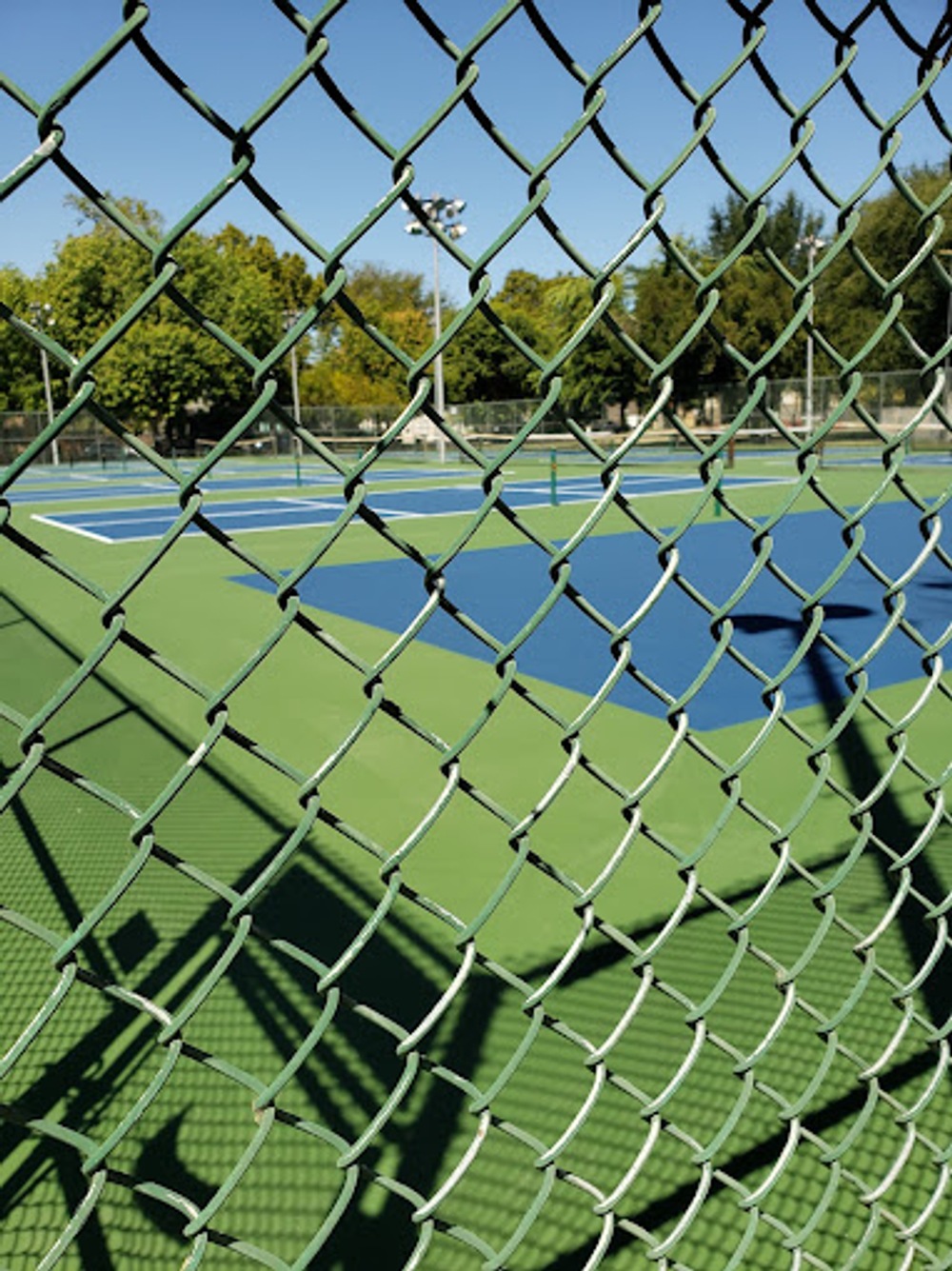 Play Pickleball at Graceada Park Court Information Pickleheads