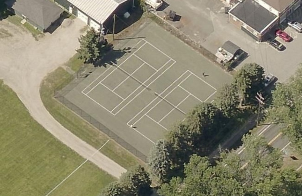 Photo of Pickleball at Friendly Spectacled Bear Courts