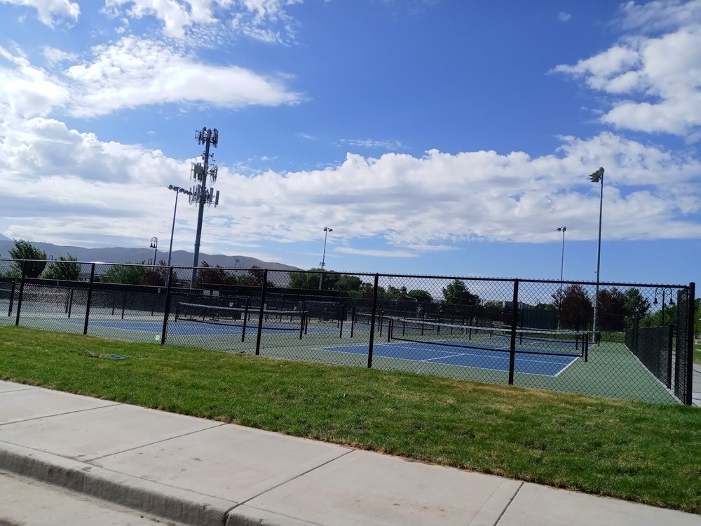 Photo of Pickleball at Droopy Long Legged Ant Courts