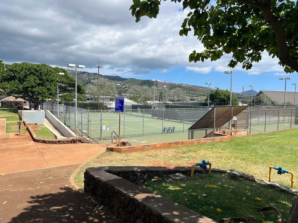 Photo of Pickleball at Velvety Giant Ichneumon Wasp Courts