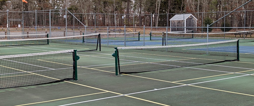 Photo of Pickleball at Purple Black Speckled Palm Pitviper Courts