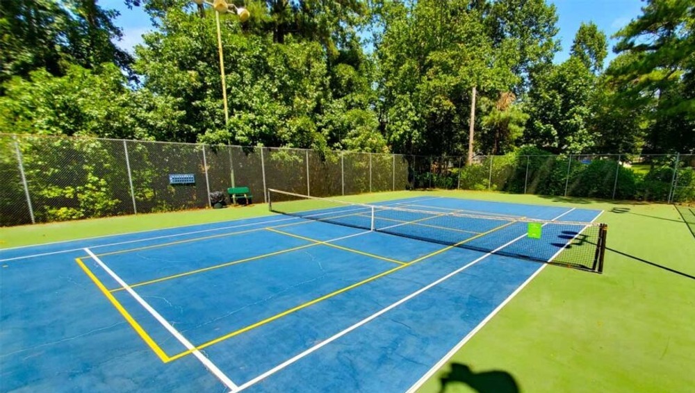 Photo of Pickleball at Acidic Australian Snubfin Dolphin Courts