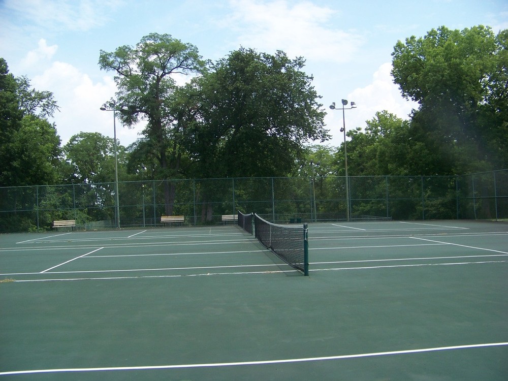 Photo of Pickleball at Black Giant Panda Courts