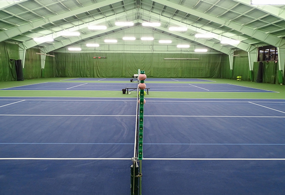 Photo of Pickleball at Bowed Chinese Alligator Courts