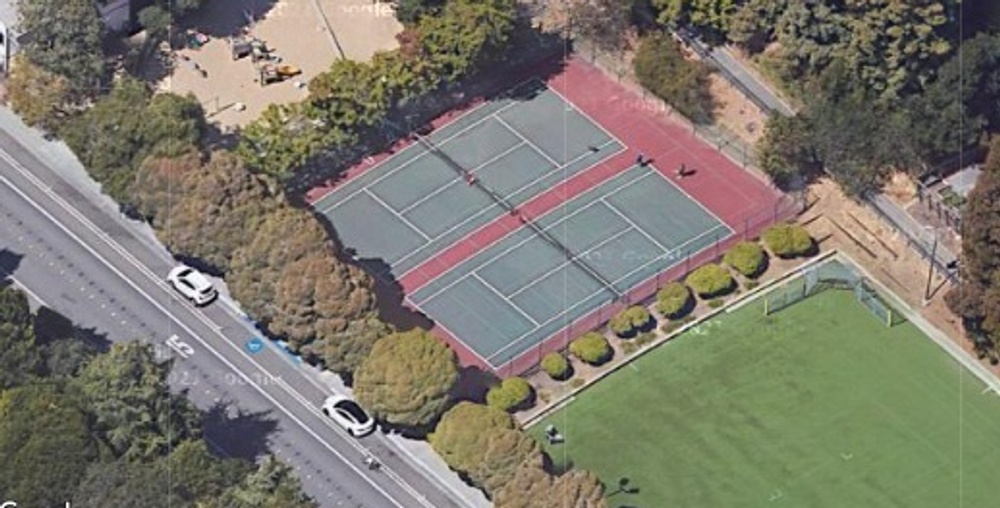 Photo of Pickleball at Tremendous European Sprat Courts