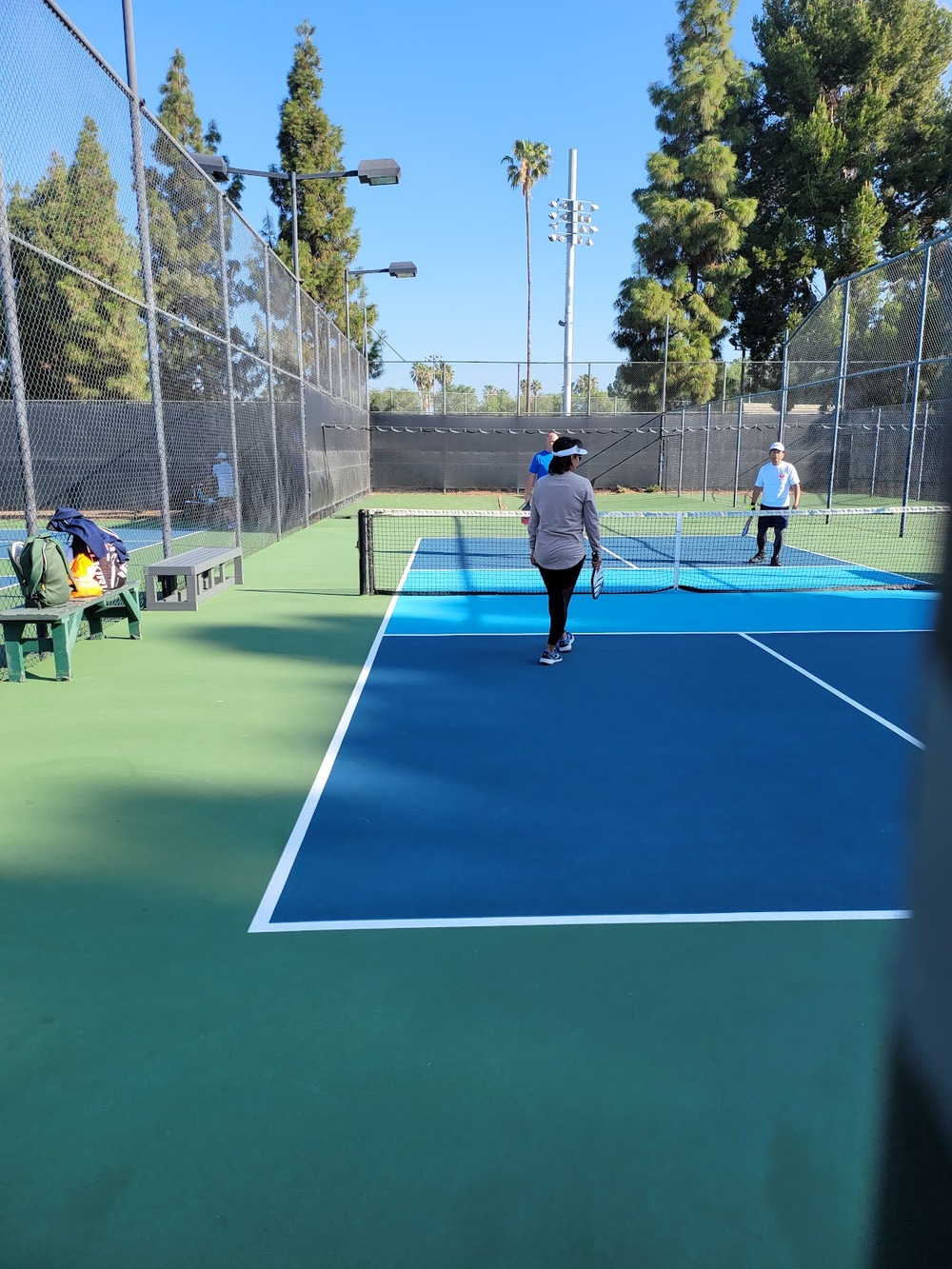 Photo of Pickleball at Adventurous Amur Catfish Courts