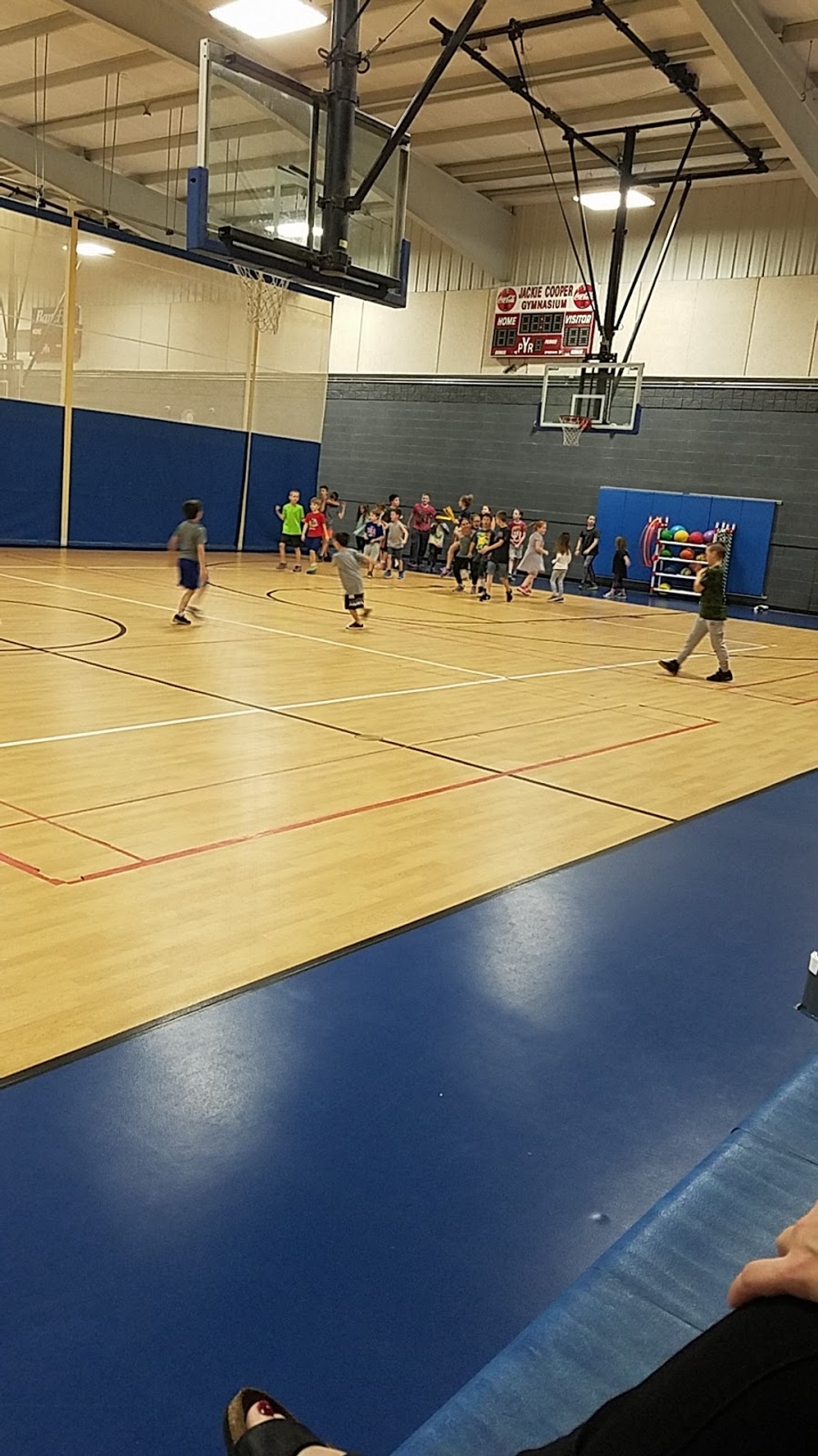 Photo of Pickleball at Devoted Vipera Ammodytes Courts