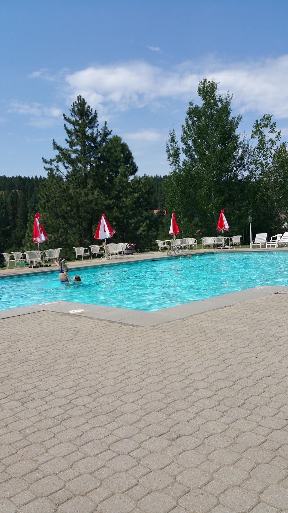 Photo of Pickleball at Considerate Spectacled Bear Courts