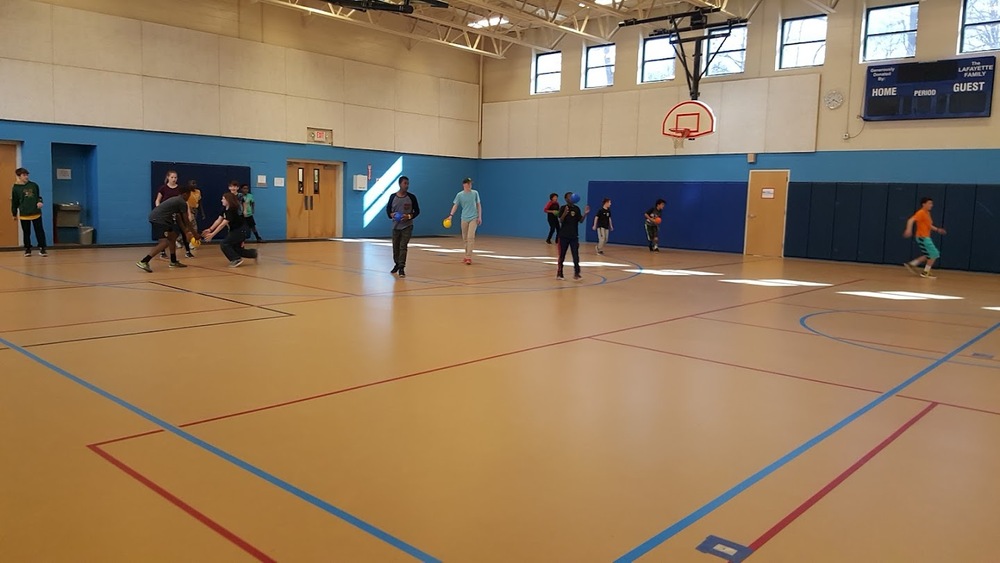 Photo of Pickleball at Delectable Brown Spotted Pitviper 4 Courts