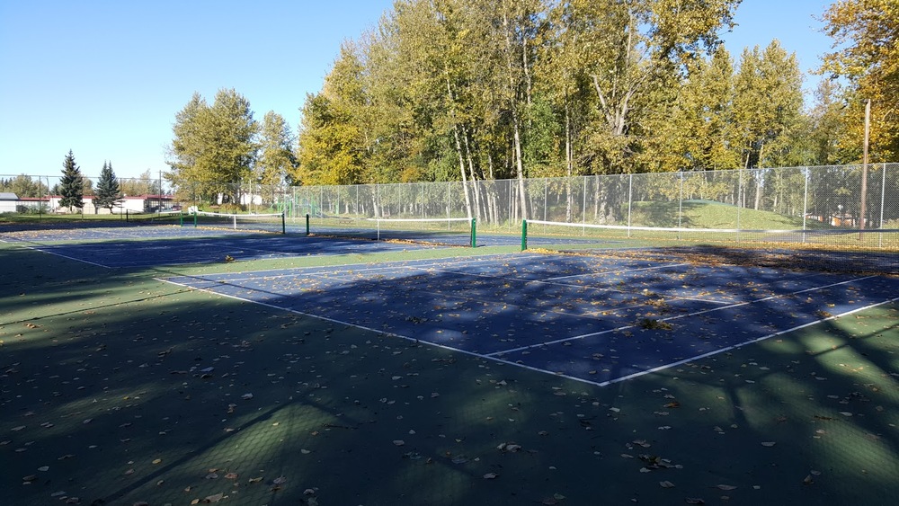 Photo of Pickleball at Prickly Silver Fox Courts