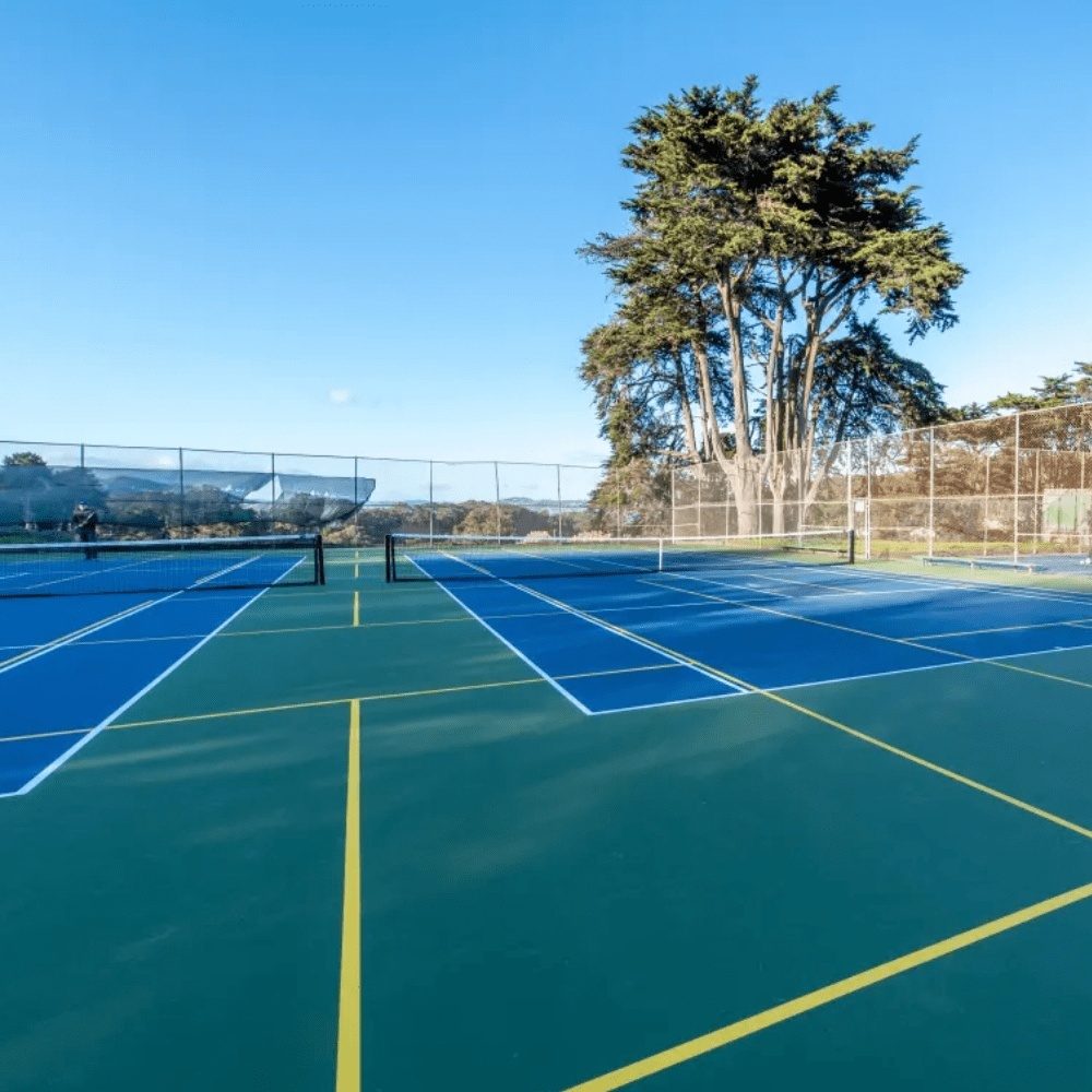 Photo of Pickleball at Accomplished Asian Black Bear Courts