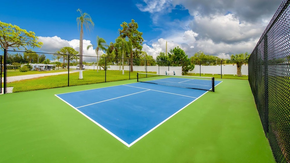 Play Pickleball At Arbor Terrace Rv Resort: Court Information 