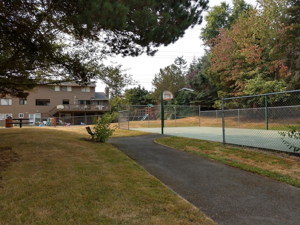 Photo of Pickleball at Academic Asian Black Bear Courts