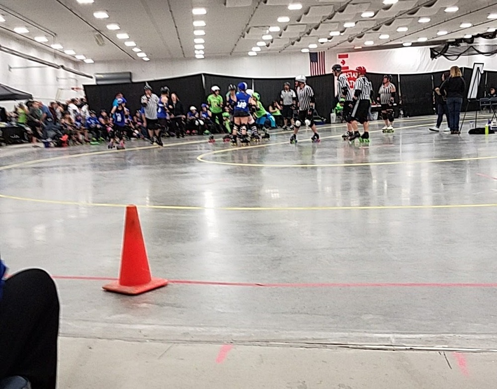 Photo of Pickleball at Angelic French Spaniel Courts