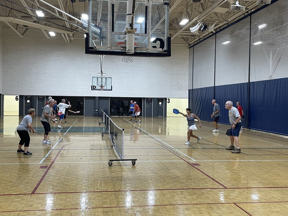 Photo of Pickleball at Ashamed Eurasian Dotterel Courts