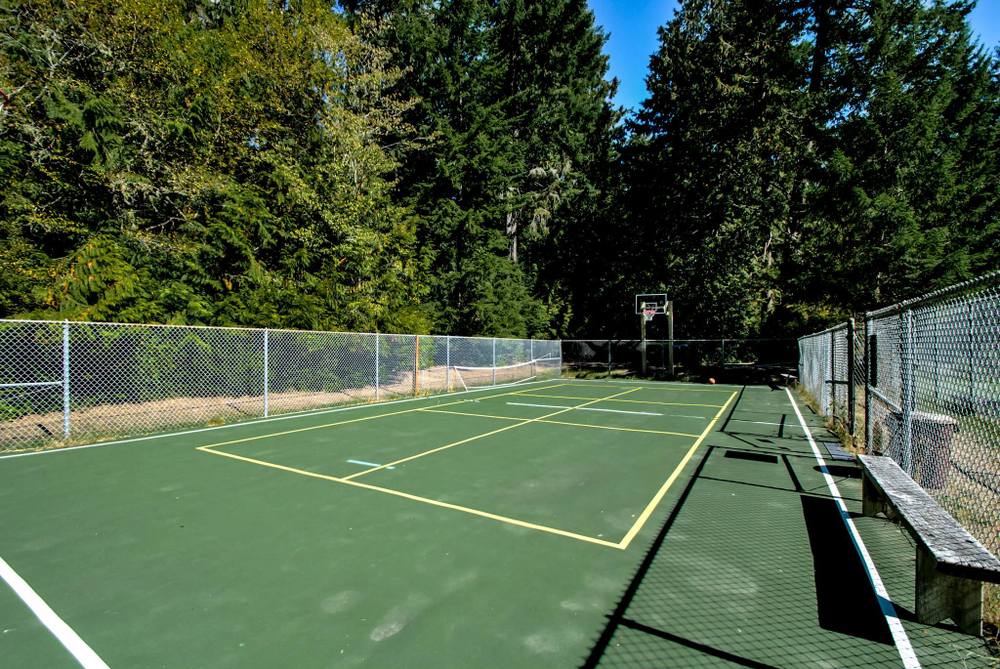 Photo of Pickleball at Memorable American Staffordshire Terrier Courts