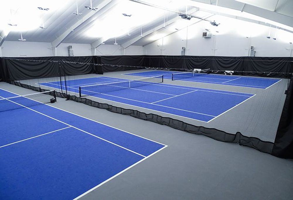 Photo of Pickleball at Different Japanese Anchovy Courts