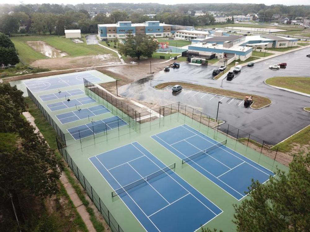 Photo of Pickleball at Lined Asiatic Lion Courts