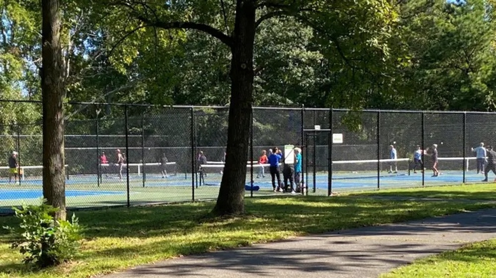 Photo of Pickleball at Agile Giant Panda Courts