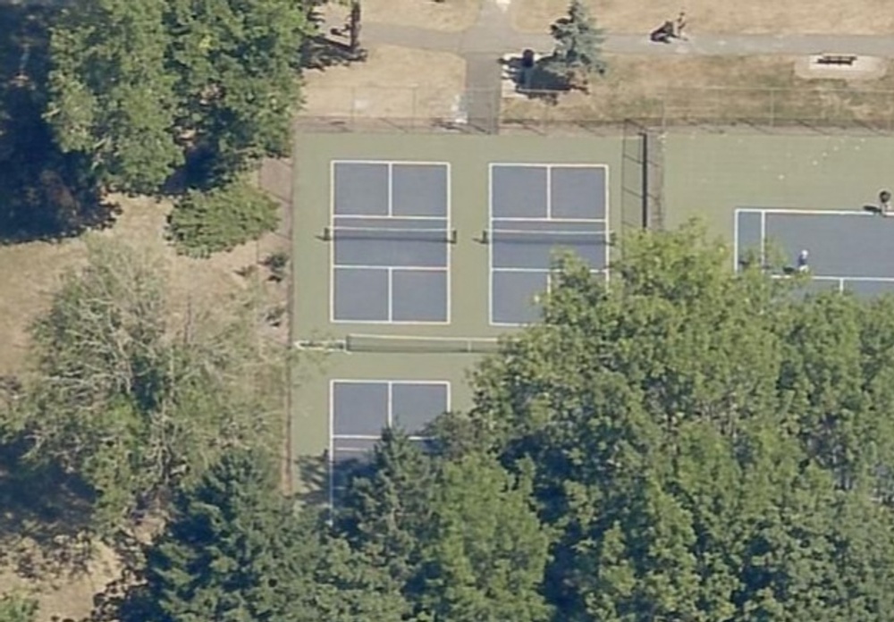 Photo of Pickleball at Amazing Pacific White Sided Dolphin Courts