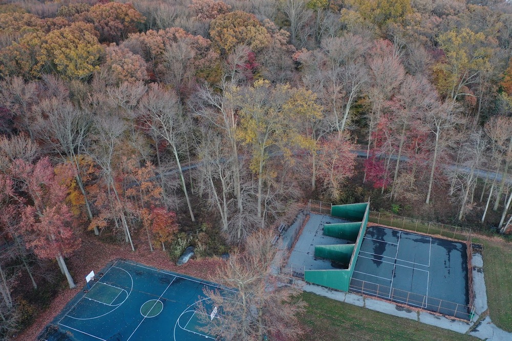 Photo of Pickleball at Dutiful Atlantic Humpbacked Dolphin Courts