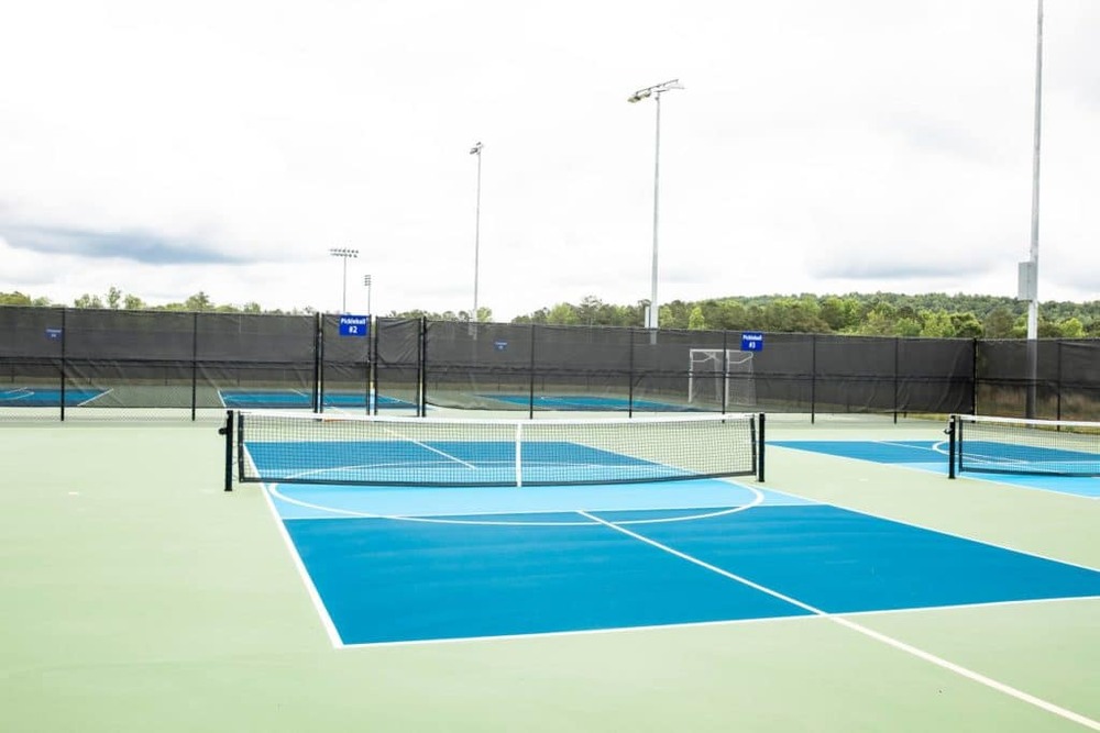 Photo of Pickleball at Unlawful West African Lion Courts