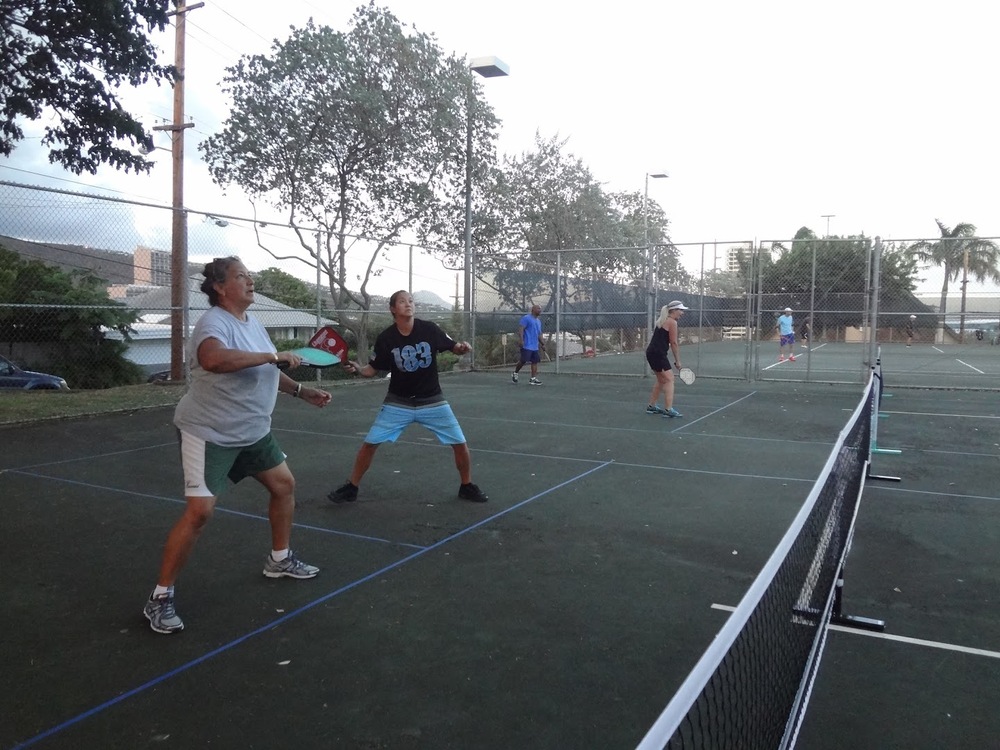 Photo of Pickleball at Velvety Giant Ichneumon Wasp Courts