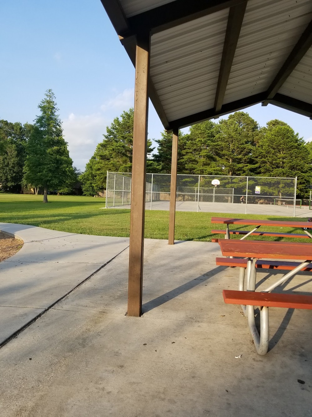 Photo of Pickleball at Loathsome Sawfly Parasitic Wasp Courts