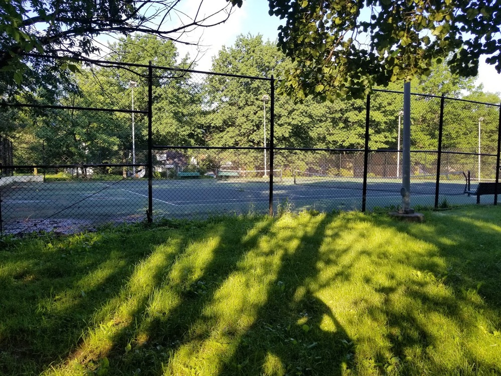 Play Pickleball at Denison Park: Court Information Pickleheads