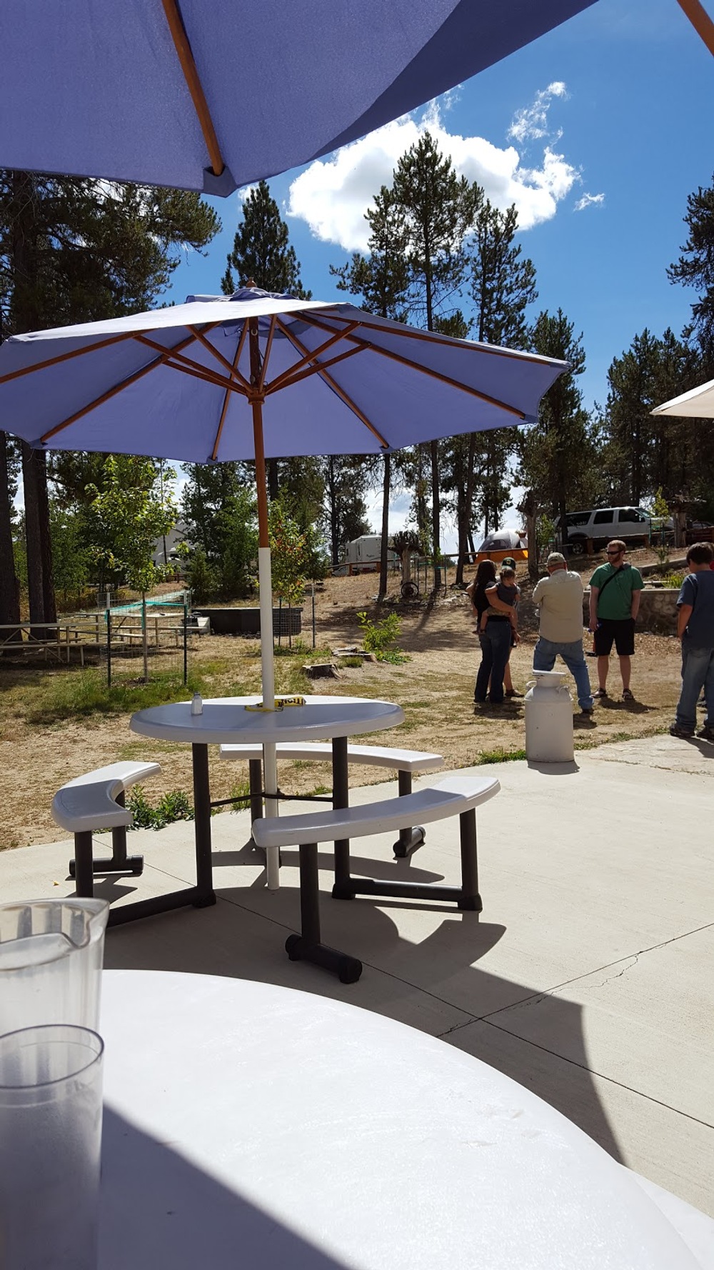 Photo of Pickleball at Ambitious Northern Rightwhale Dolphin Courts