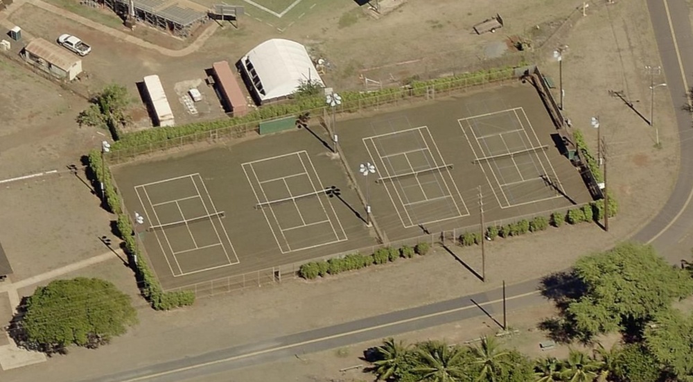 Photo of Pickleball at Austere Golden Tree Snake Courts