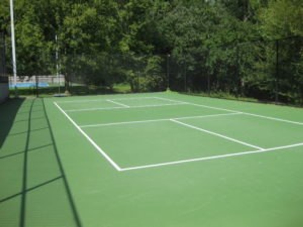 Photo of Pickleball at Loyal Indian Tree Viper Courts