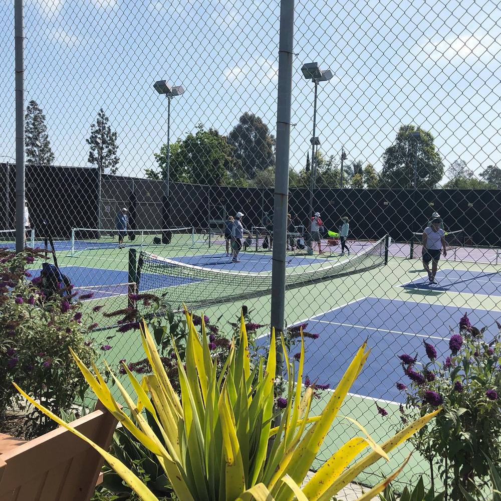 Photo of Pickleball at Felipe Tennis & Recreation Center