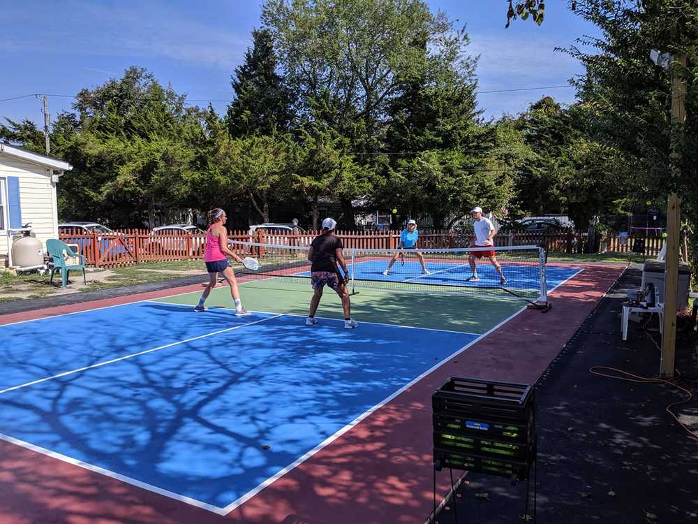 Photo of Pickleball at Altruistic Short Beaked Common Dolphin Courts