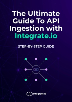 The Ultimate Guide To API Ingestion 