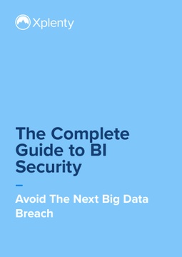 The Complete Guide to BI Security