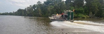 Featured image for "Ultimate Swamp Adventures" Large Airboat Tour