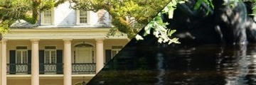 Featured image for Afternoon Covered Boat Swamp Tour + Oak Alley Plantation