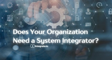 Does Your Organization Need a System Integrator?