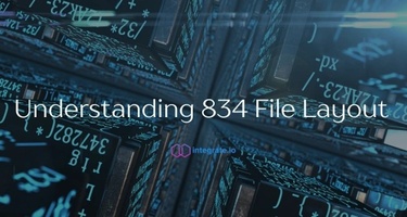 Understanding 834 File Layout