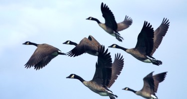 Top Challenges of Data Migration