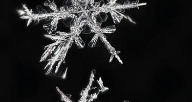 These Are the Top 5 Snowflake Database Features for Salesforce Users Everywhere