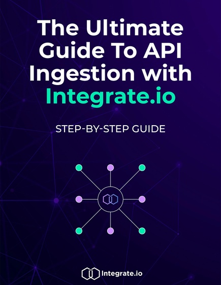 The Ultimate Guide To API Ingestion 