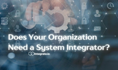 Does Your Organization Need a System Integrator?