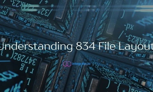 Understanding 834 File Layout