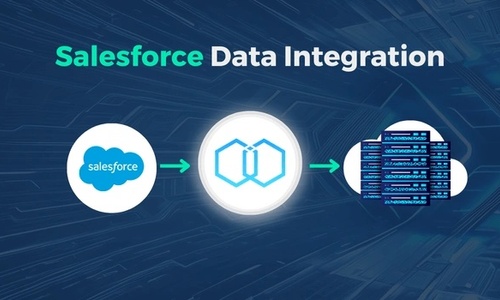 Salesforce Data Integration