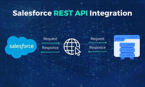 Salesforce REST API Integration: A Step-by-Step Guide