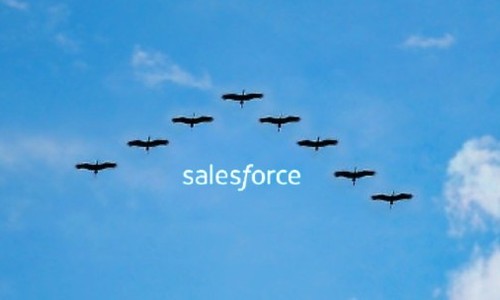 Salesforce データマイグレーション入門