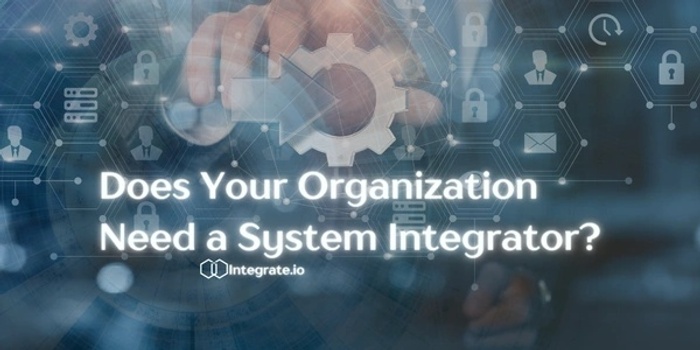 Does Your Organization Need a System Integrator?