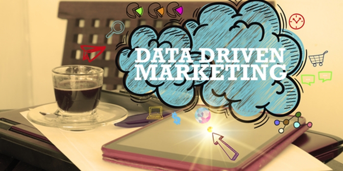 How to Use Data to Increase ROI